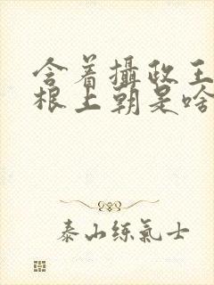 含着摄政王的紫根上朝是啥小说