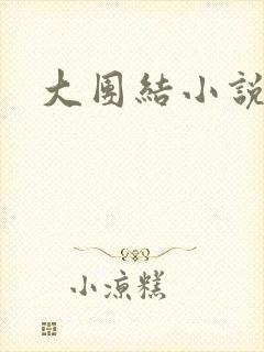 大团结小说阅读