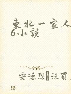 东北一家人1一6小说