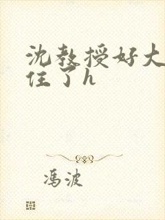 沈教授好大含不住了h