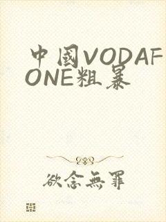 中国VODAFONE粗暴