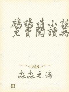 鹧鸪哨小说网站免费阅读无弹窗