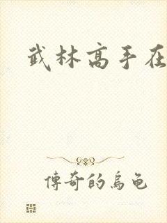 武林高手在异界