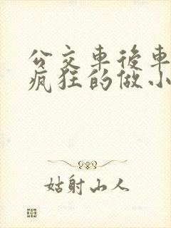 公交车后车座的疯狂的做小