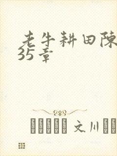 老牛耕田陈雪435章