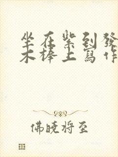 坐在紫到发黑的木棒上写作业