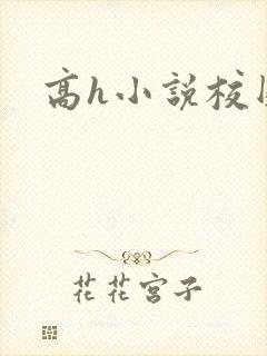 高h小说校园
