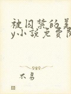 被囚禁的美人by小说免费阅读