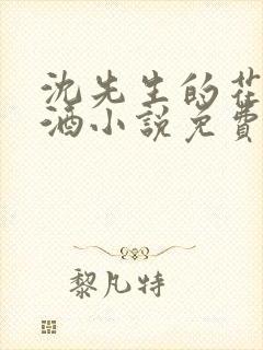 沈先生的花式调酒小说免费阅读