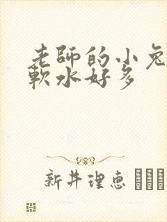 老师的小兔子好软水好多