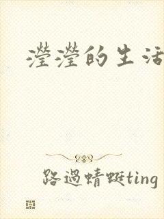 滢滢的生活日记
