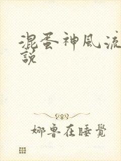 混蛋神风流史小说