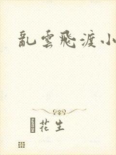 乱云飞渡小说