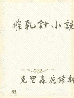 催乳针小说