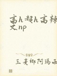 高h超h高辣h文np