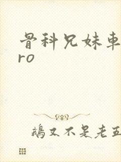 骨科兄妹车多pro