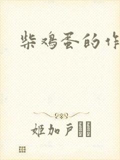 柴鸡蛋的作品