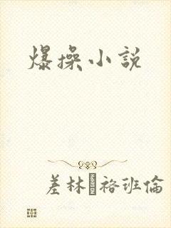 爆操小说
