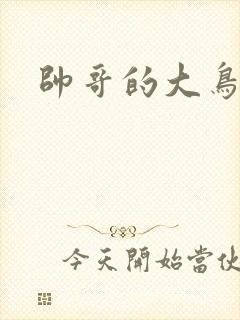 帅哥的大鸟