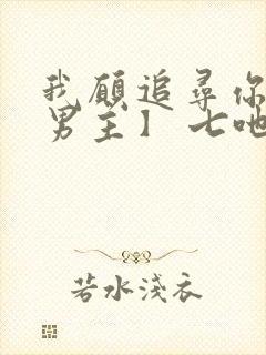 我愿追寻你【双男主】 七吔