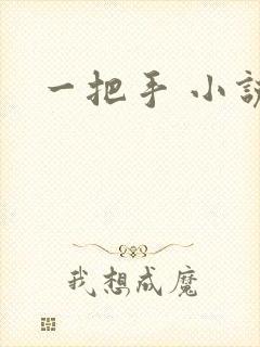 一把手 小说