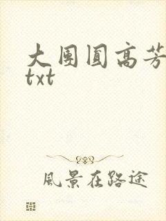 大团圆高芳小说txt