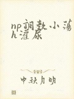 np调教小荡货h灌尿