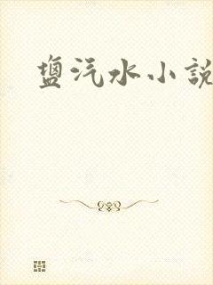 盐汽水小说
