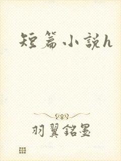 短篇小说h