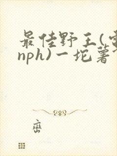 最佳野王(电竞nph)一坨薯饼