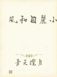 风和日丽小说