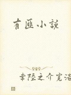 有匪小说