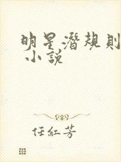 明星潜规则之皇 小说