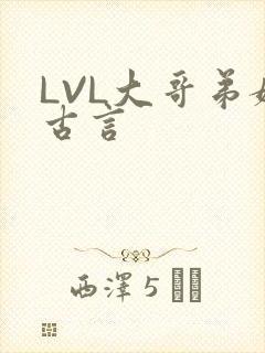 LVL大哥弟媳古言