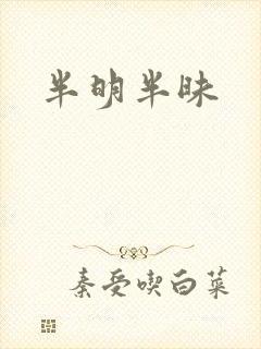 半明半昧