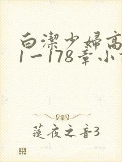 白洁少妇高义第1一178章小说