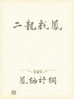 二龙戏凤