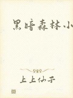 黑暗森林小说