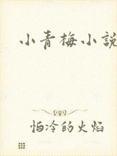 小青梅小说