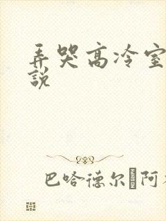 弄哭高冷室友小说