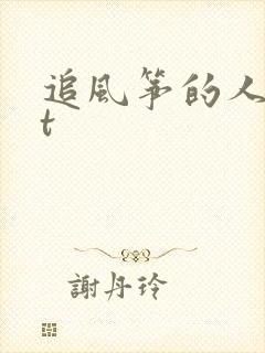 追风筝的人txt