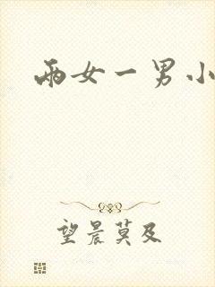 两女一男小说