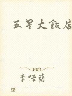 五星大饭店小说