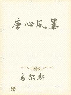唐心风暴