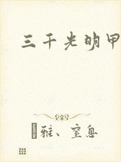 三千光明甲