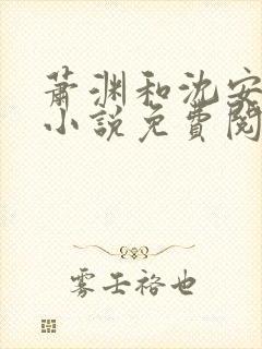 萧渊和沈安安的小说免费阅读