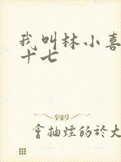我叫林小喜今年十七