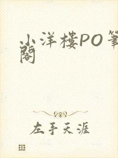 小洋楼PO笔趣阁