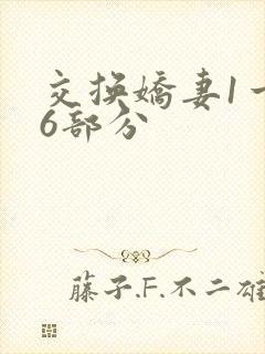 交换娇妻1一36部分