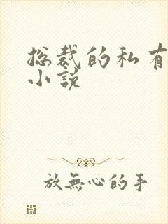 总裁的私有宝贝小说